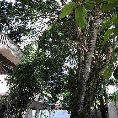 Murphy'S Villa Katunayaka Buitenkant foto