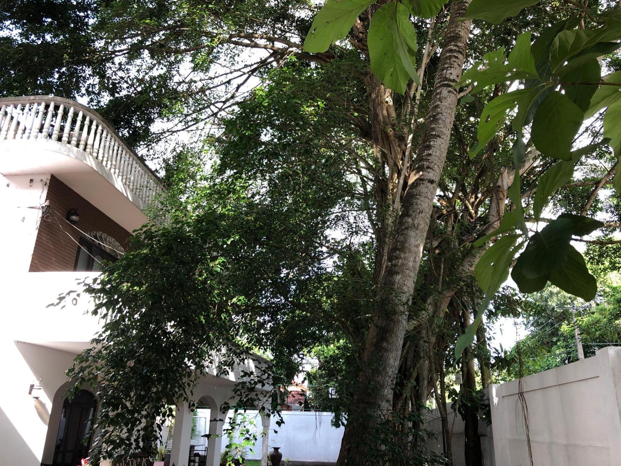 Murphy'S Villa Katunayaka Buitenkant foto